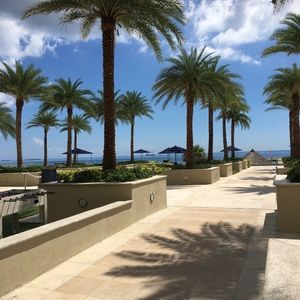 Meet your Posher, Toya